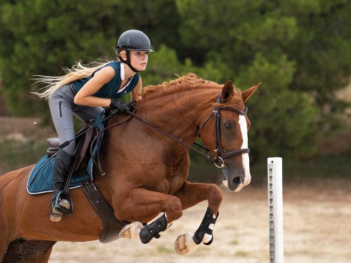 Catalogue Équitation – Decathlon