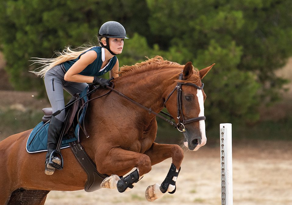 Catalogue Équitation – Decathlon