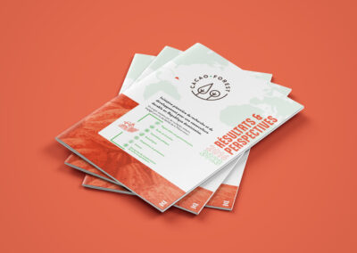 Earthworm Cacao Forest