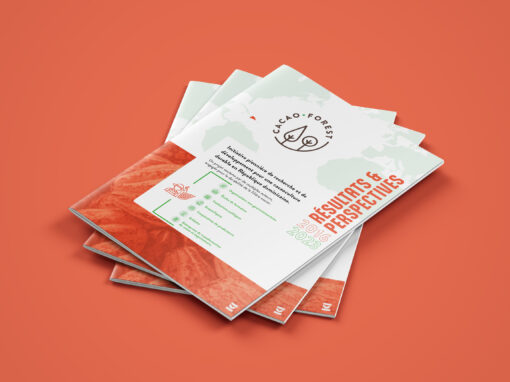 Earthworm Cacao Forest